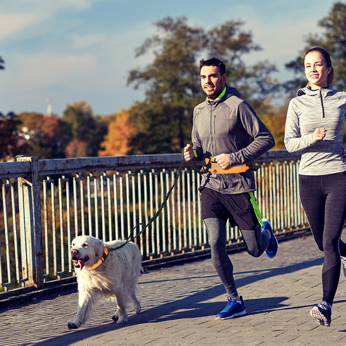 Hands-Free Running Dog Leash