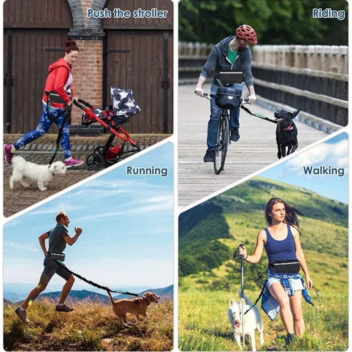 Hands-Free Running Dog Leash