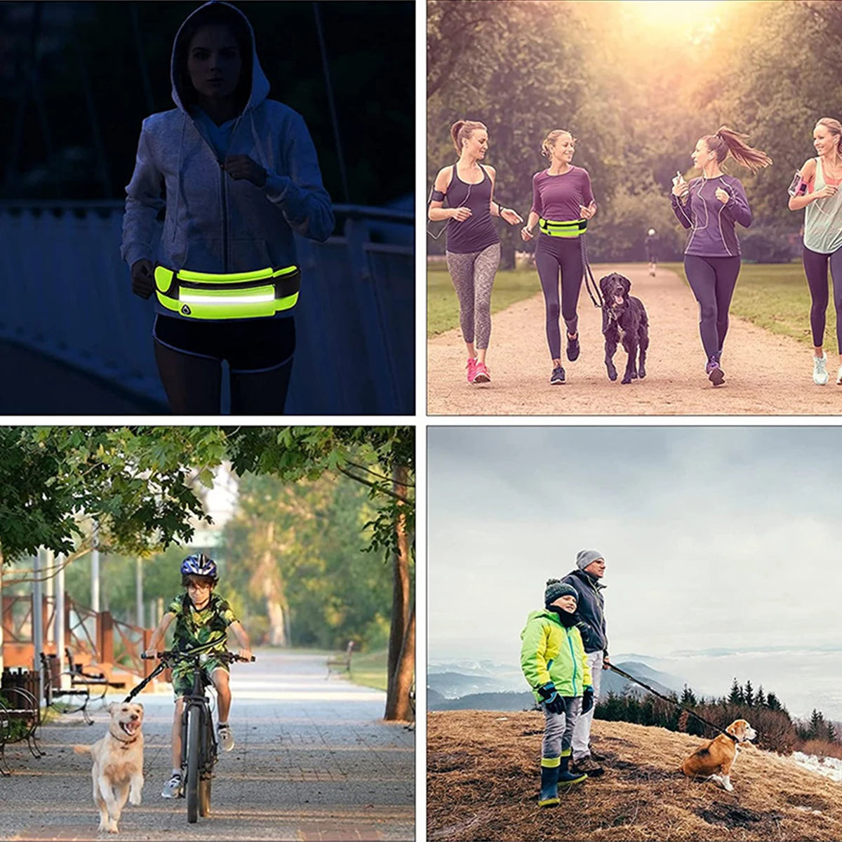 Hands-Free Running Dog Leash