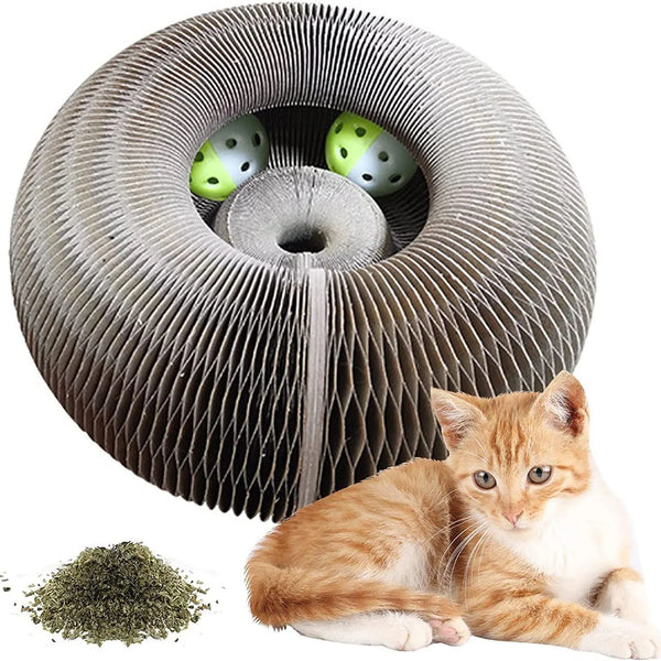 Magic Cat Fun Board
