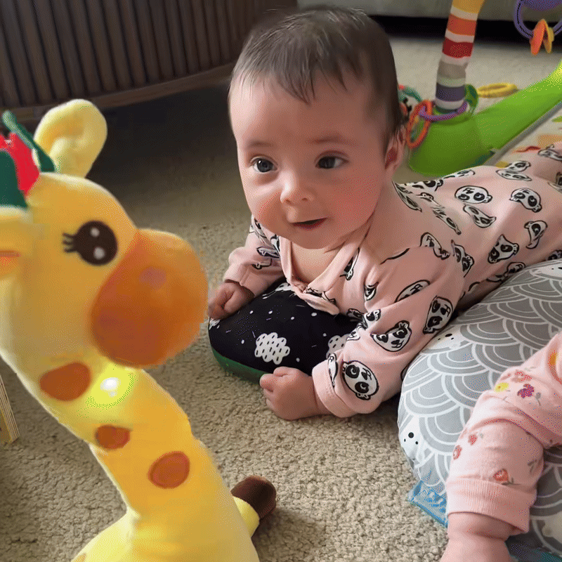 ✨Buddy The Dancing Giraffe✨