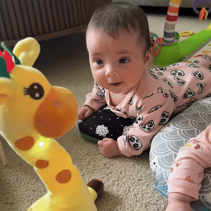 ✨Buddy The Dancing Giraffe✨